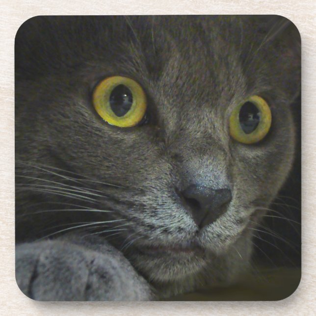 Posavasos Residuo de corcho de intensidad (Frente)