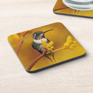 Posavasos Resplandor de oro