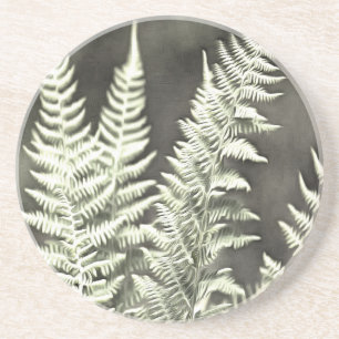 Posavasos Resumen artístico de fern