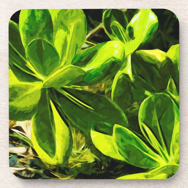 Posavasos Resumen de la exitosa planta verde de Ocean Beach (Frente)