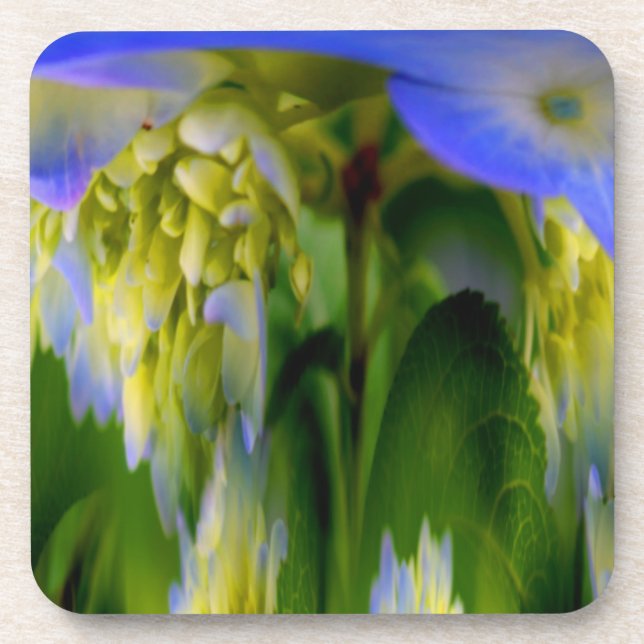 Posavasos Resumen Hidrangea Azul Conjunto De Montura De Corc (Frente)