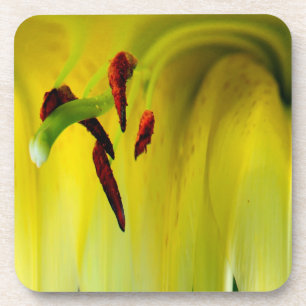 Posavasos Resumen Macro Lily Stamen Floral Cork Coaster Set