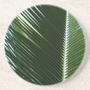Posavasos Resumen verde tropical de palmeras que se abruman