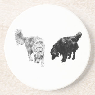 Posavasos Retorno de tabla de brillo — Recuperar Duo