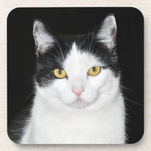 Posavasos Retrato blanco y negro del gato