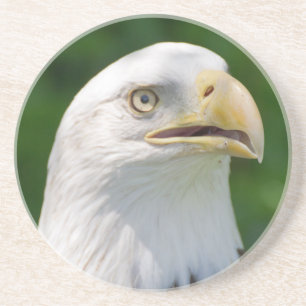 Posavasos Retrato de águila calva