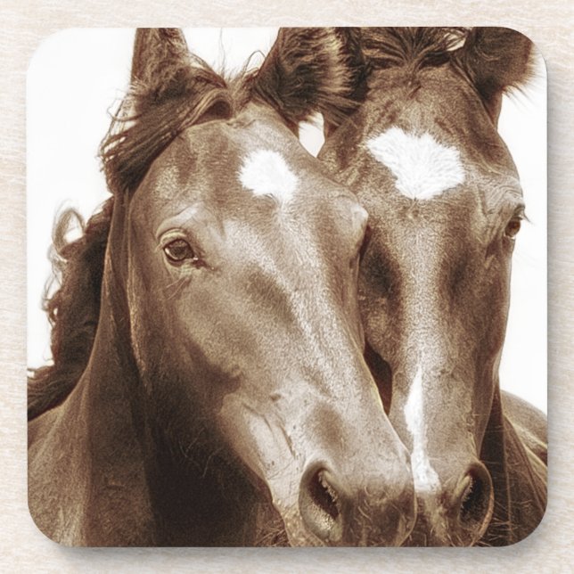 Posavasos Retrato de caballo III (Frente)
