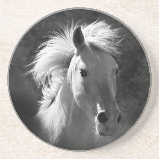 Posavasos Retrato de caballo V (Frente)