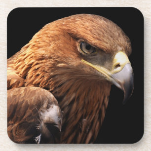 Posavasos Retrato de Eagle aislado en negro
