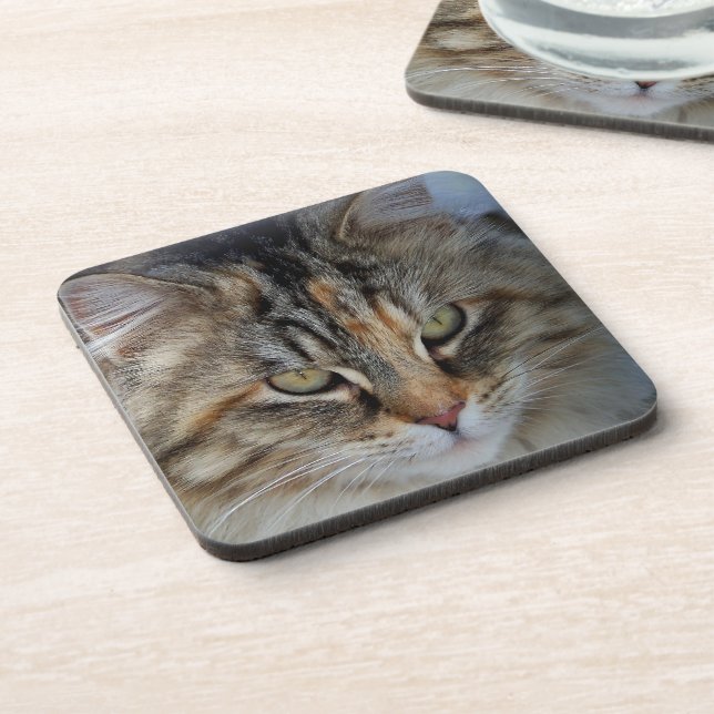 Posavasos retrato de gato Maine Coon (Lado Izquierdo)