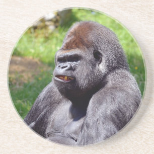 Posavasos Retrato de gorila de tierras bajas occidentales