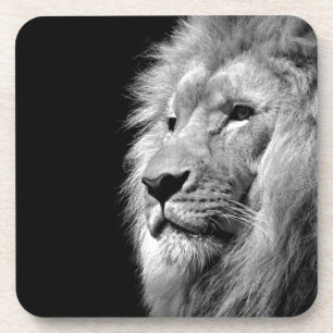 Posavasos Retrato de León Blanco Negro - Fotografía animal
