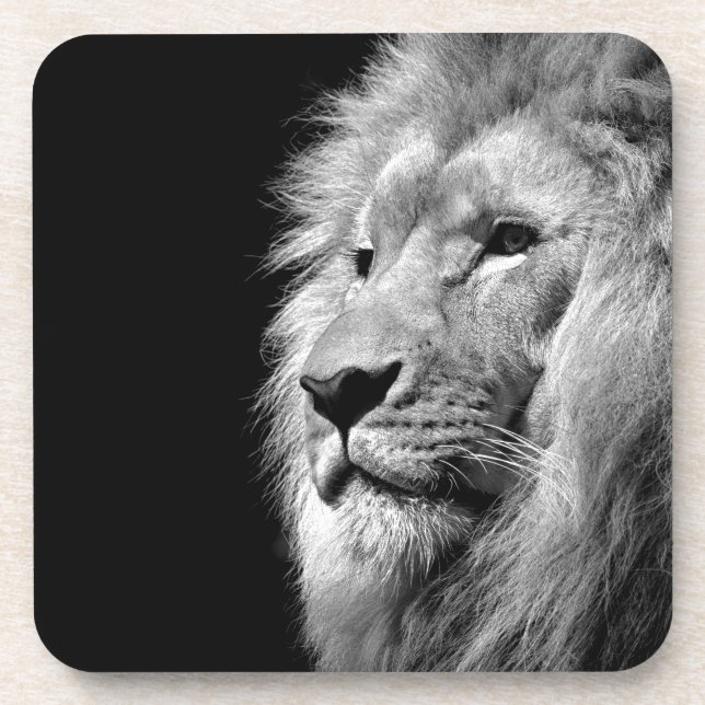 Posavasos Retrato de León Blanco Negro - Fotografía animal (Frente)