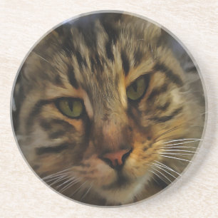 Posavasos Retrato de Mascota artístico de gato tabby de larg