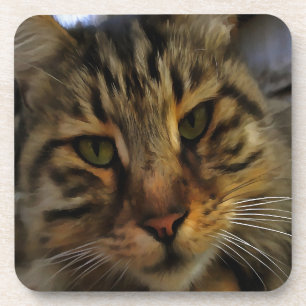 Posavasos Retrato de Mascota artístico de gato tabby de larg