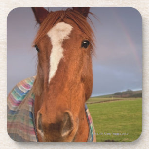 Posavasos Retrato de un caballo con un arco iris en el cielo