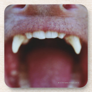 Posavasos Retrato de un mono Blanco-Throated del capuchón