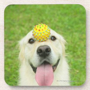 Posavasos Retrato de un perro con una bola en su nariz
