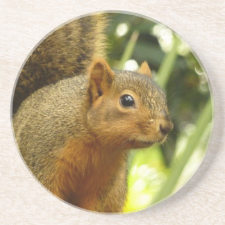 Posavasos Retrato de una fotografía animal de la naturaleza