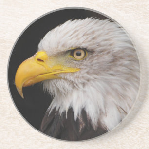 Posavasos Retrato del águila
