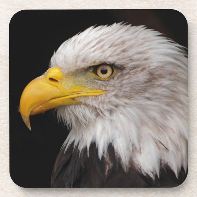 Posavasos Retrato del águila (Frente)