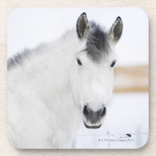 Posavasos retrato del caballo blanco