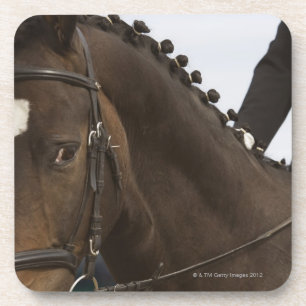 Posavasos retrato del caballo del dressage