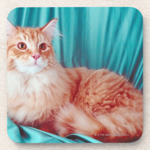 Posavasos Retrato del gato