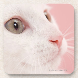 Posavasos Retrato del gato