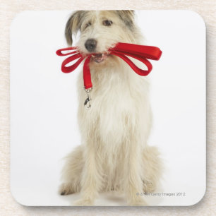 Posavasos Retrato del perro con el correo