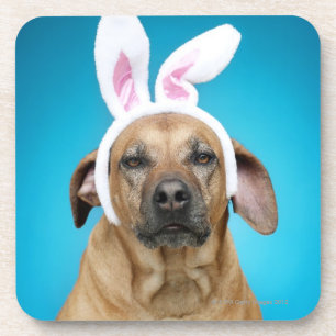 Posavasos Retrato del perro que lleva los oídos del conejit