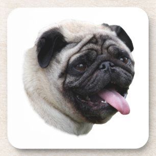 Posavasos Retrato fotográfico del mascota del perro Pug