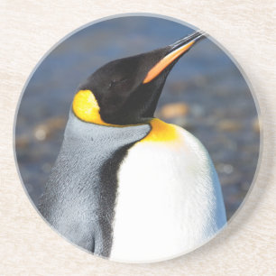Posavasos Retrato pingüino
