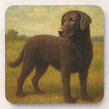 Retriever de Costa Rizada