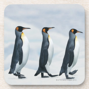 Posavasos Rey pingüinos que caminan en solo fichero