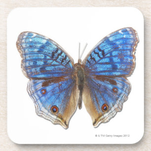 Posavasos Rhadama del resumen