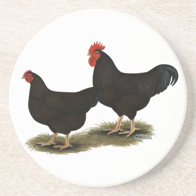 Posavasos Rhode Island Red Bantams (Frente)