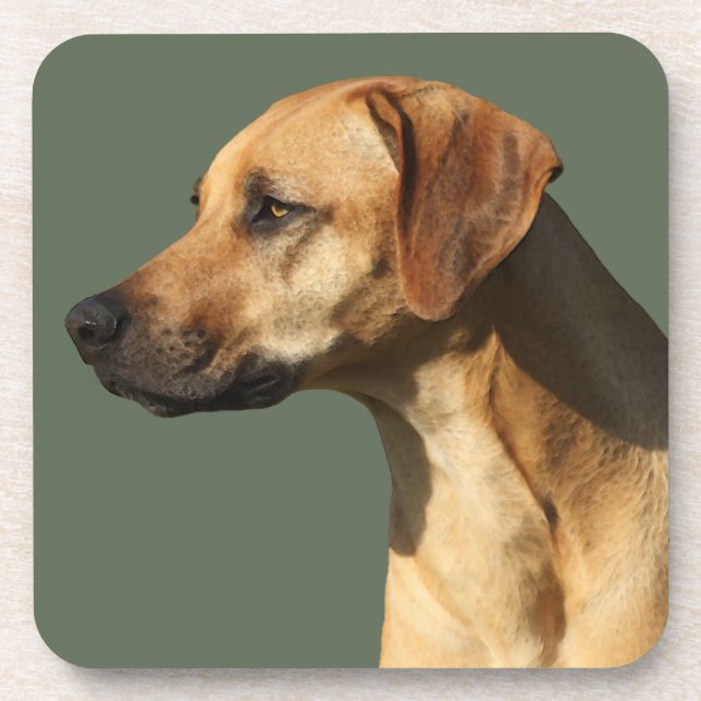 Posavasos Ridgeback de Rodesia (Frente)