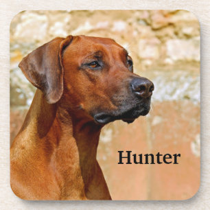 Posavasos Ridgeback Dog Rhodesia