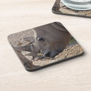 Posavasos Rinoceronte