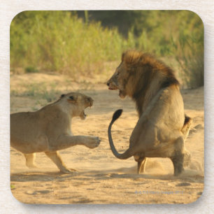 Posavasos Río de Timbavati, parque nacional de Kruger, el
