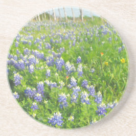 Posavasos Roadside Bluebonnets