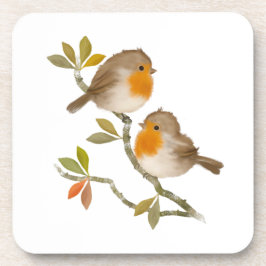 Posavasos Robin Birds Hard Plastic Coasters