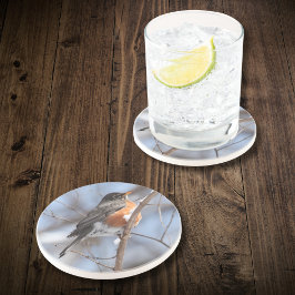 Posavasos Robin estadounidense se sienta en una división de 