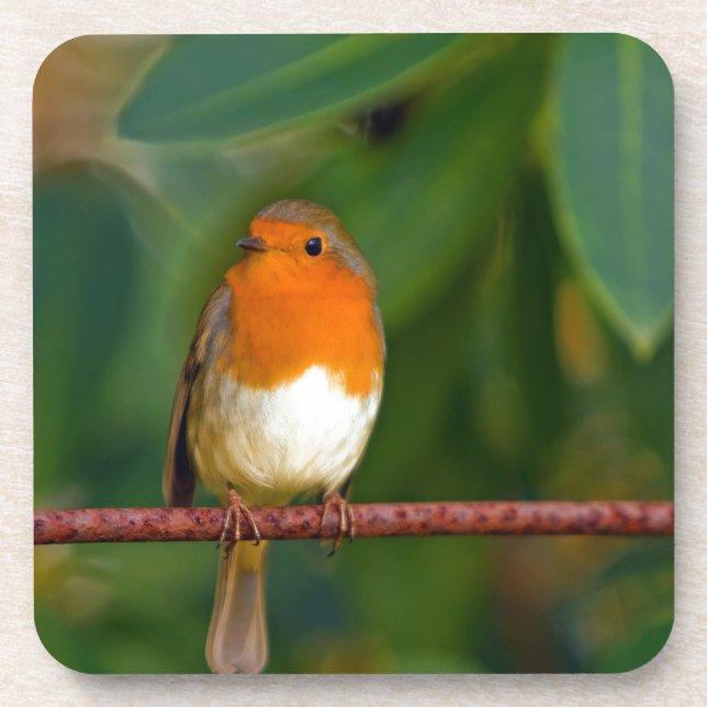 Posavasos Robin navidades (Frente)