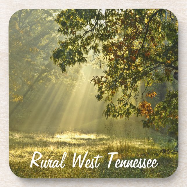 Posavasos Roble con los rayos de sol de la mañana (Frente)