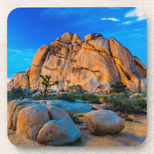 Posavasos Rock de anciana - Parque Nacional del árbol Joshu