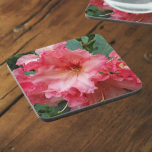 Posavasos Rododendros rosados floral en flor