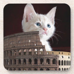 Posavasos roman kitty