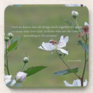 Posavasos Romans 8:28